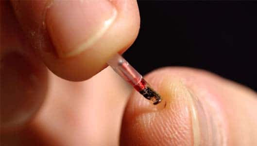 Will all Americans be Microchipped by 2017? DEBUNKED