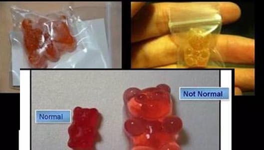 Is there a new Halloween drug disguised as Gummi Bears?