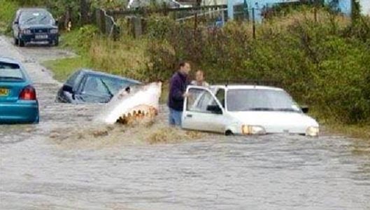 Flooded Missouri highway shark attack JOKE