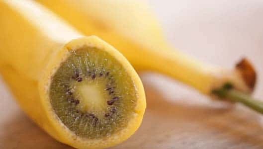 Can you really combine a banana and a kiwi into a hybrid fruit?