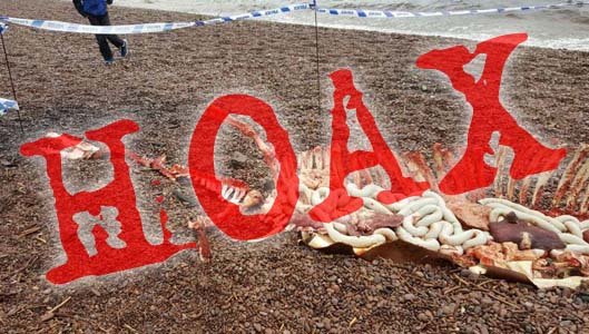 Loch Ness Monster carcass found on beach?