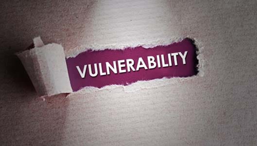 Why are software vulnerabilities so dangerous?