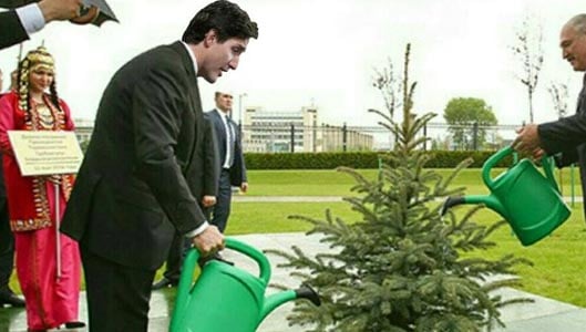 Image shows Justin Trudeau watering a tree in the rain?
