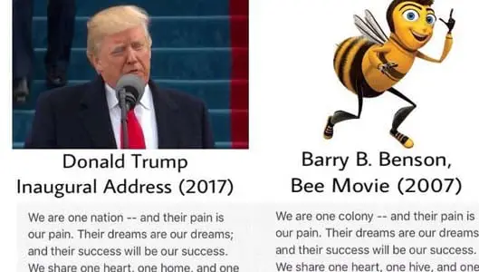 Did Trump plagiarise inaugural speech from Bee Movie? FACT CHECK