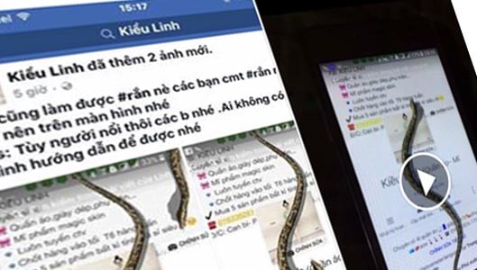 Does typing #rắn or #ran make a snake appear on your screen? No – it’s a prank