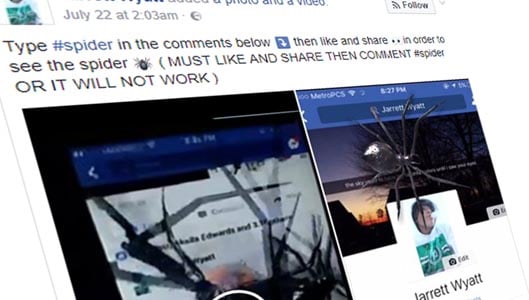 Facebook post claims commenting #spider results in digital spider on screen