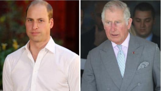Fake articles claim Queen will abdicate throne to Prince William