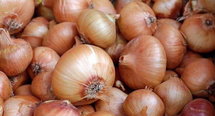 Online rumours claims onions absorb against flu virus. Fact Check