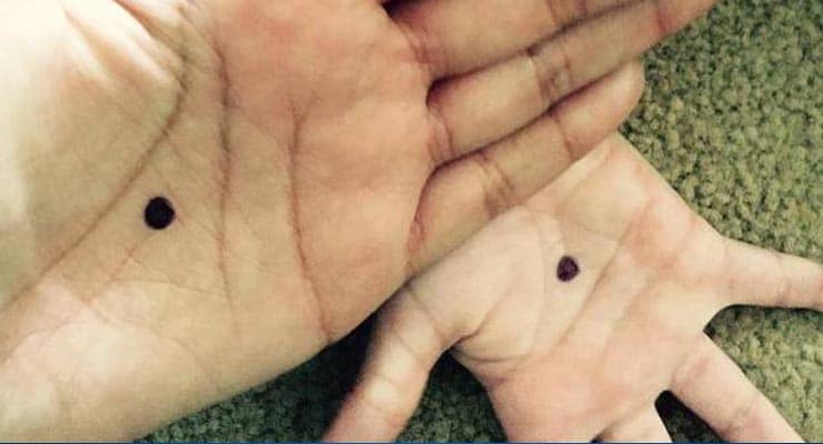The Black Dot Campaign – Fact Check