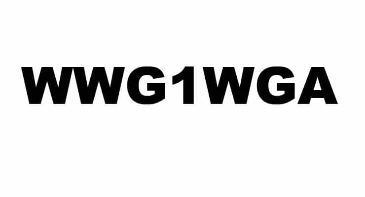What does WWG1WGA mean and what is it associated with?