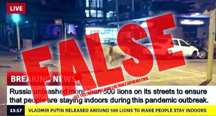 Putin releases 500 lions on streets during coronavirus outbreak? Fact Check