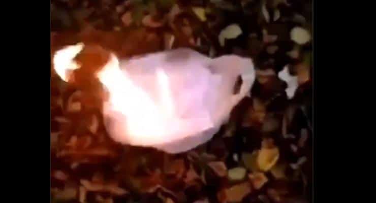 Does video show someone burning ballots marked Trump? Fact Check