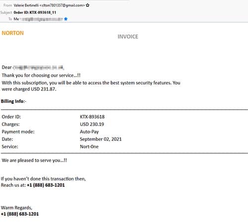 watch-out-for-fake-norton-renewal-emails-it-s-a-scam-thatsnonsense